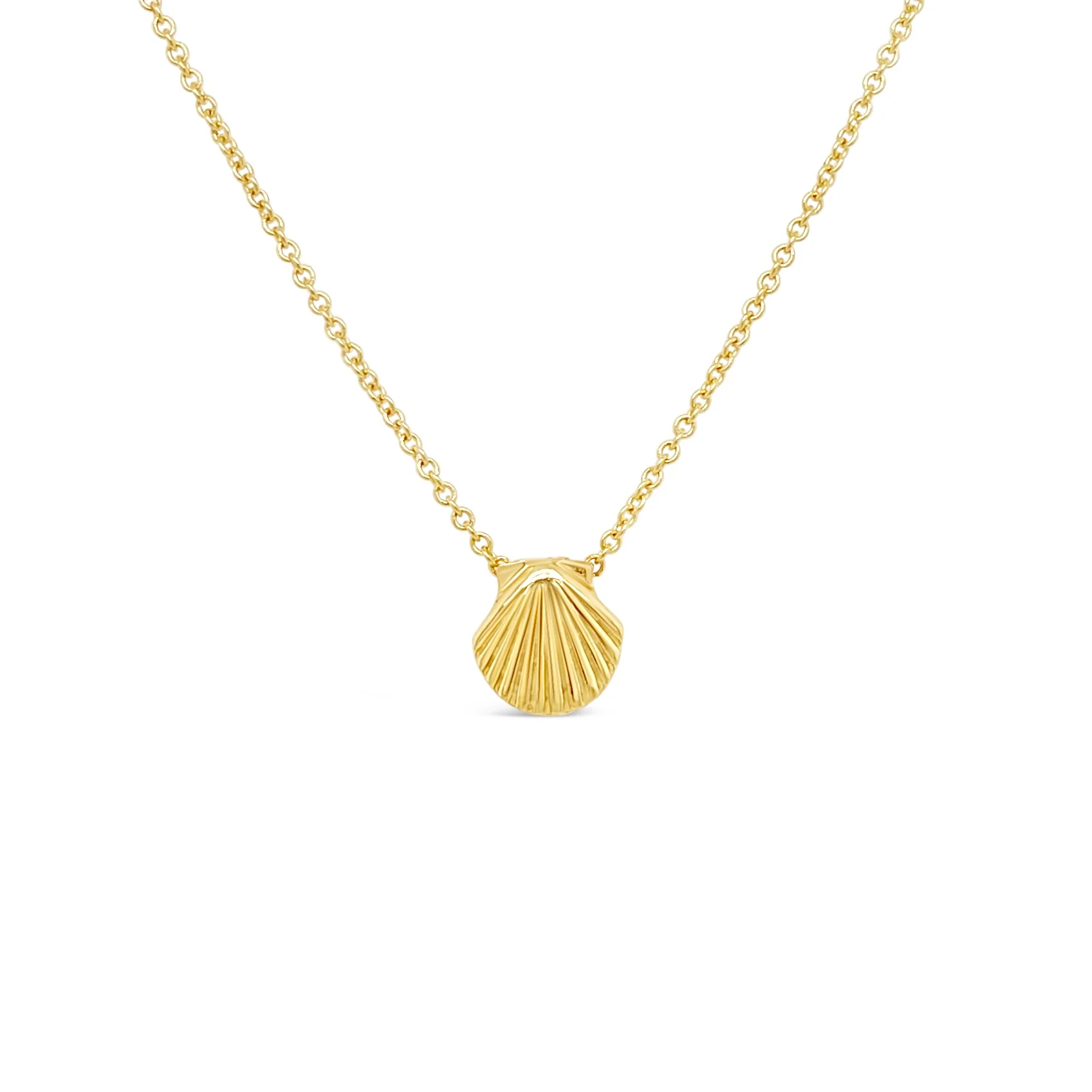 Tiny Scallop Shell Necklace